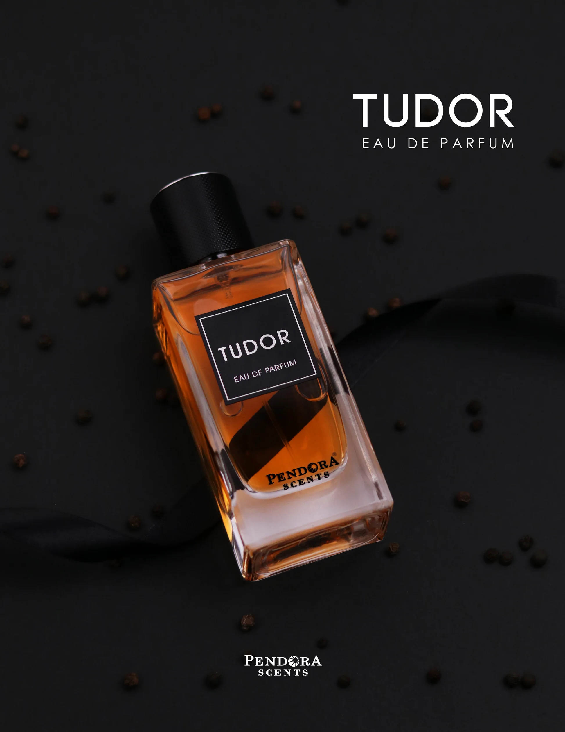  Pendora Scents - Tudor Edp 100ml